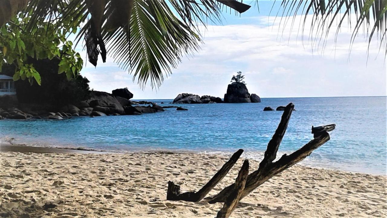 Seychelles Yellow Petals Anse Boileau Dış mekan fotoğraf