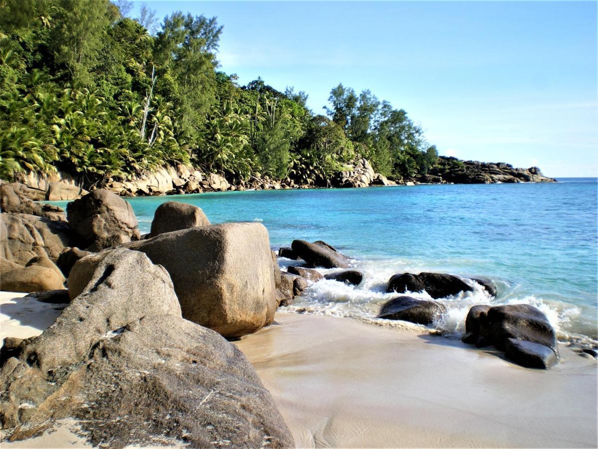 Seychelles Yellow Petals Anse Boileau Dış mekan fotoğraf