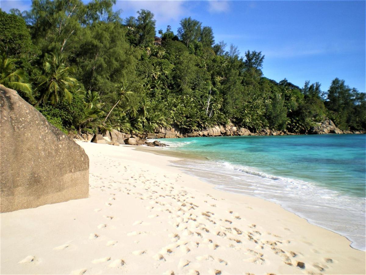 Seychelles Yellow Petals Anse Boileau Dış mekan fotoğraf
