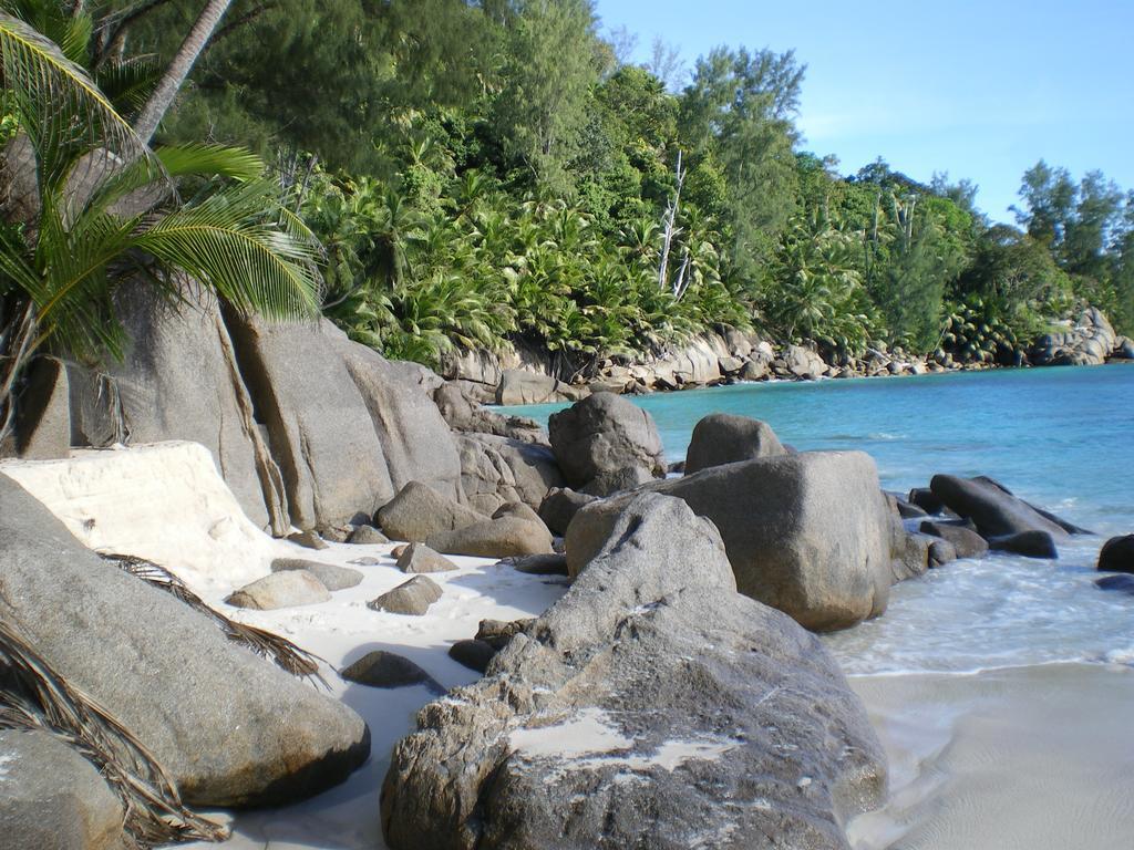 Seychelles Yellow Petals Anse Boileau Dış mekan fotoğraf