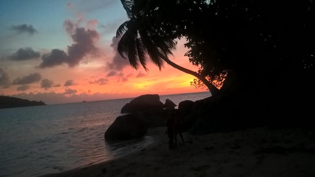 Seychelles Yellow Petals Anse Boileau Dış mekan fotoğraf