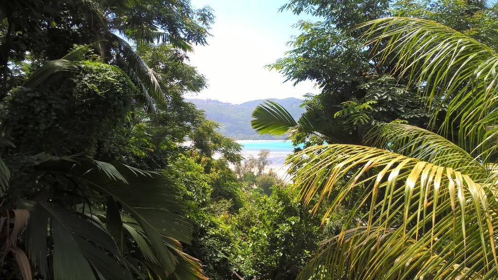 Seychelles Yellow Petals Anse Boileau Dış mekan fotoğraf